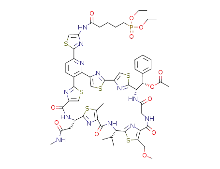 Molecular Structure of 960062-83-3 (C<sub>58</sub>H<sub>64</sub>N<sub>13</sub>O<sub>12</sub>PS<sub>6</sub>)