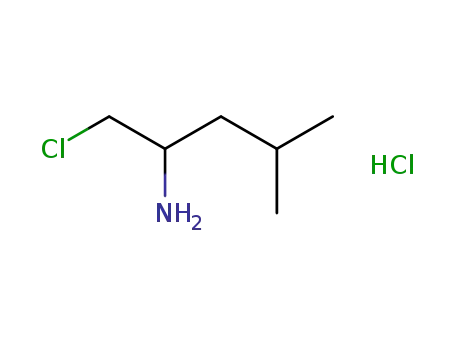 Molecular Structure of 1160386-36-6 (1-chloromethyl-3-methylbutylamine hydrochloride)
