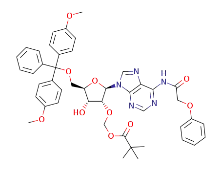 5'-O-(4,4'-dimethoxytrityl)-2'-O-pivaloyloxymethyl-N<SUP>6</SUP>-phenoxyacetyl-adenosine