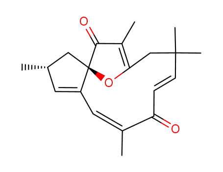 Molecular Structure of 29444-03-9 (Jatrophone)
