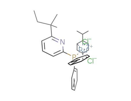 [RuCl<sub>2</sub>(η<sup>3</sup>:η<sup>3</sup>-p-cymene){κ<sup>1</sup>-(P)-PPh<sub>2</sub>(py-6-tert-amyl)}]