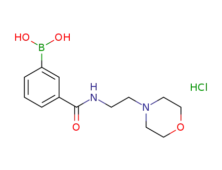 Molecular Structure of 957060-89-8 (3-(2-Morpholinoethylcarbamoyl)phenylboronic acid, HCl)