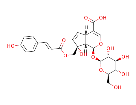 Molecular Structure of 36138-58-6 ((1S)-1α-(β-D-Glucopyranosyloxy)-1,4aα,7,7aα-tetrahydro-7β-hydroxy-7-[[[(E)-3-(4-hydroxyphenyl)-1-oxo-2-propenyl]oxy]methyl]cyclopenta[c]pyran-4-carboxylic acid)