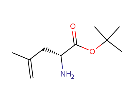 Molecular Structure of 339304-38-0 (tert-butyl (R)-2-amino-4-methylpent-4-enoate)