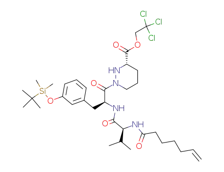 hept-6-en-1-oyl-L-valine-L-(tert-butyldimethylsilyl)-meta-tyrosine-hexahydropyridazine-3S-carboxylic acid 2,2,2-trichloroethyl ester