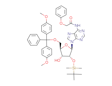 5′-O-(dimethoxytrityl)-2′-O-(tert-butyldimethylsilyl)-N<sup>6</sup>-phenoxyacetyladenosine