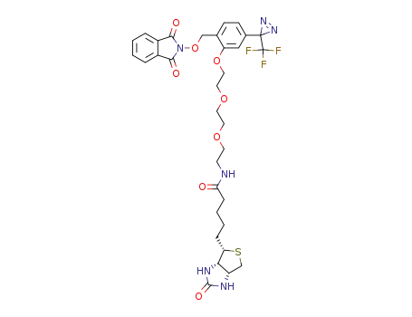 2-[2-[2-(2-biotinylaminoethoxy)ethoxy]ethoxy]-4-[3-(trifluoromethyl)-3H-diazirine-3-yl]benzyloxyphthalimide