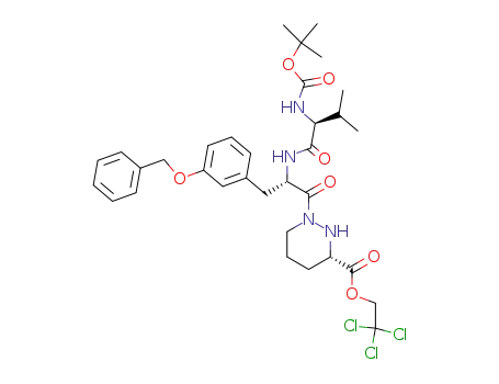 (tert-butoxycarbonyl)-L-valine-L-(benzyl)-meta-tyrosine-hexahydropyridazine-3S-carboxylic acid 2,2,2-trichloroethyl ester