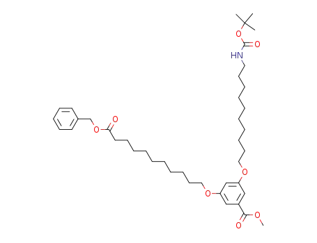 3-(10-benzyloxycarbonyl-decyloxy)-5-(10-<i>tert</i>-butoxycarbonylamino-decyloxy)-benzoic acid methyl ester