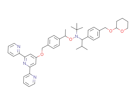Molecular Structure of 1174281-57-2 (O-(1-(4-((2,2':6',2''-terpyridin-4'-yloxy)methyl)phenyl)ethyl)-N-(tert-butyl)-N-(2-methyl-1-(4-(((tetrahydro-2H-pyran-2-yl)-oxy)methyl)phenyl)propyl)hydroxylamine)
