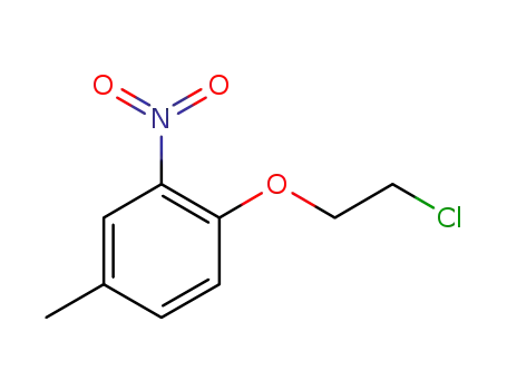 Molecular Structure of 1070770-78-3 (1-(2-chloro-ethoxy)-4-methyl-2-nitro-benzene)