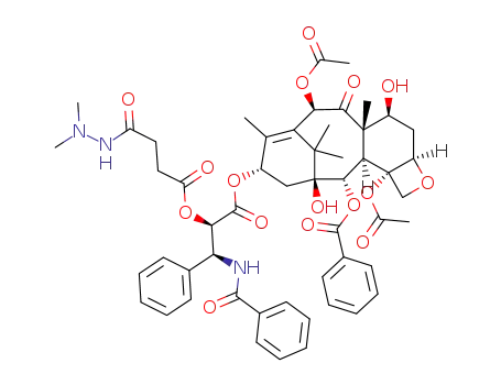 2'-[N-(N,N-dimethylamino)succinamidoyl]taxoI