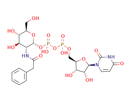 uridine 5'-diphospho-2-phenylacetamido-2-deoxy-α-D-glucopyranoside