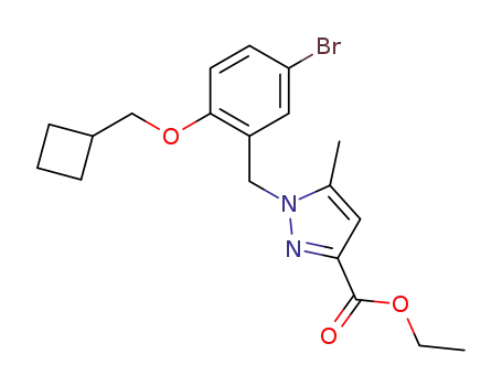 1-(5-bromo-2-cyclobutylmethoxybenzyl)-5-methyl-1H-pyrazole-3-carboxylic acid ethyl ester