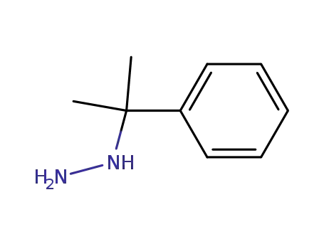 Molecular Structure of 3178-39-0 (Hydrazine,  (1-methyl-1-phenylethyl)-)