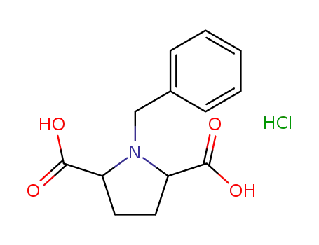 Molecular Structure of 325146-20-1 (1-benzylpyrrolidine-2,5-dicarboxylic acid hydrochloride)