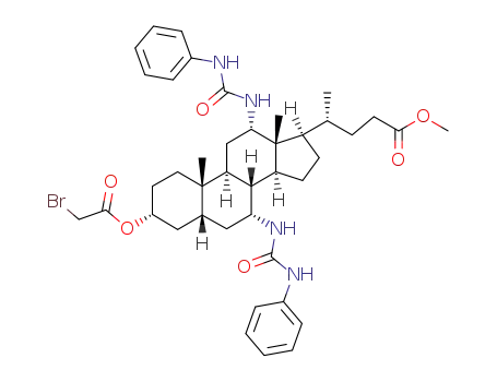 methyl 3α-bromoacetoxy-7α,12α-di[(phenylaminocarbonyl)amino]-5β-cholan-24-oate