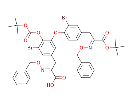 2-benzyloxyimino-3-{3-[4-(2-benzyloxyimino-2-<i>tert</i>-butoxycarbonyl-ethyl)-2-bromo-phenoxy]-5-bromo-4-<i>tert</i>-butoxycarbonyloxy-phenyl}-propionic acid