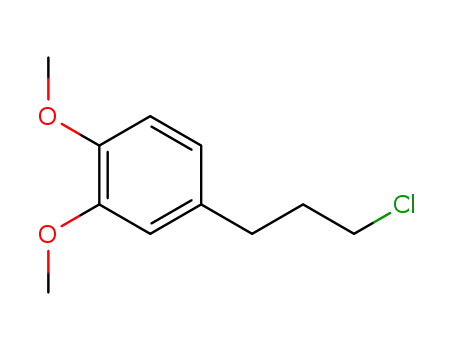 Molecular Structure of 110406-97-8 (3-(3,4-DIMETHOXYPHENYL)-1-CHLOROPROPANE)