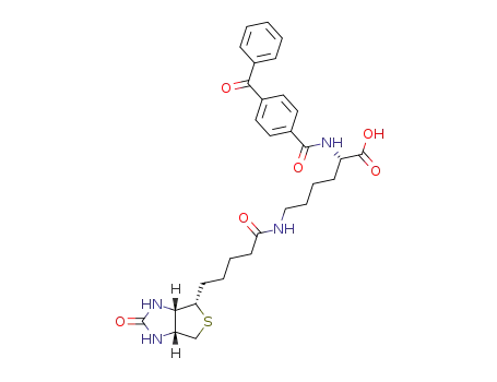 Molecular Structure of 165898-24-8 (N<sup>α</sup>-(4-benzoylbenzoyl)-L-biocytin)