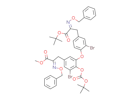 2-benzyloxyimino-3-{3-[4-(2-benzyloxyimino-2-<i>tert</i>-butoxycarbonyl-ethyl)-2-bromo-phenoxy]-5-bromo-4-<i>tert</i>-butoxycarbonyloxy-phenyl}-propionic acid methyl ester