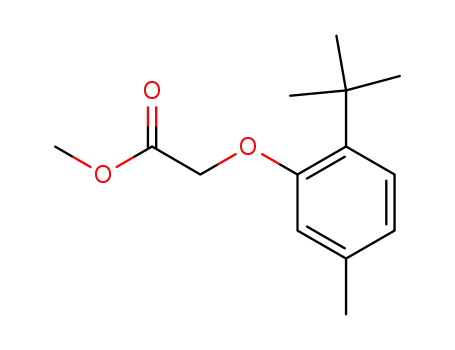 Molecular Structure of 1011532-01-6 (methyl 2-(2-tert-butyl-5-methylphenoxy)acetate)
