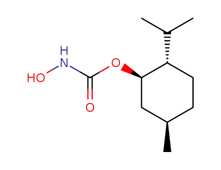 Molecular Structure of 52719-93-4 ((I)-menthyloxycarbonylhydroxamic acid)