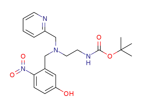 Molecular Structure of 1037826-16-6 ((2-[(5-hydroxy-2-nitro-benzyl)-pyridin-2-ylmethyl-amino]-ethyl)-carbamic acid tert-butyl ester)
