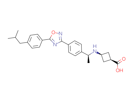 Cyclobutanecarboxylic acid, 3-[[(1S)-1-[4-[5-[4-(2-methylpropyl)phenyl]-1,2,4-oxadiazol-3-yl]phenyl]ethyl]amino]-, cis-