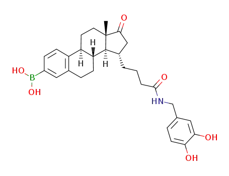 [15α-{4-[(3,4-dihydroxybenzyl)amino]-4-oxobutyl}-17-oxoestra-1(10),2,4-trien-3-yl]boronic acid