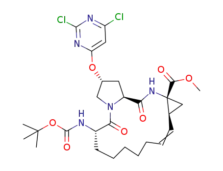 Molecular Structure of 1098142-47-2 (C<sub>28</sub>H<sub>37</sub>Cl<sub>2</sub>N<sub>5</sub>O<sub>7</sub>)