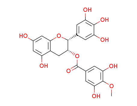4''-Methylepigallocatechin gallate