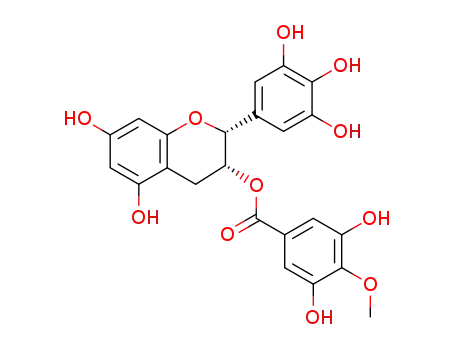 (-)-에피갈로카테킨 3-(4”-O-메틸)갈레이트