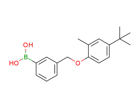Molecular Structure of 1072951-66-6 (3-[(4'-TERT-BUTYL-2'-METHYLPHENOXY)METHYL]PHENYLBORONIC ACID)