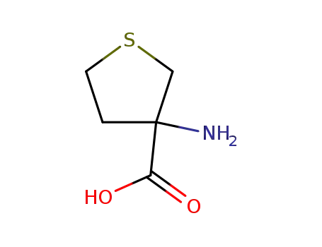 Molecular Structure of 32418-99-8 (3-AMINO-TETRAHYDRO-THIOPHENE-3-CARBOXYLIC ACID)