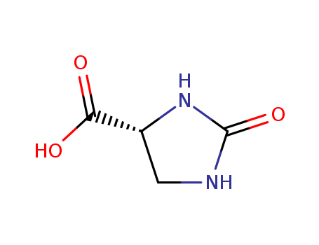 (R)-2-Oxoimidazolidine-4-carboxylic acid