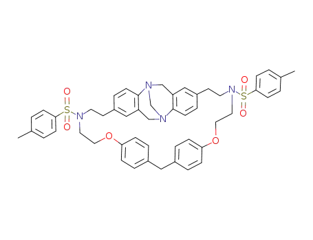 16,36-bis(p-tolylsulfonyl)-6H,12H-2,8-(ethaniminoethanoxy<1,4>benzenomethano<1,4>benzenoxyethaniminoethano)-5,11-methanodibenzo<b,f><1,5>diazocine