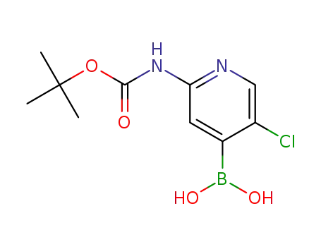 Molecular Structure of 1222522-36-2 (2-(TERT-BUTOXYCARBONYLAMINO)-5-CHLOROPYRIDIN-4-YLBORONIC ACID)