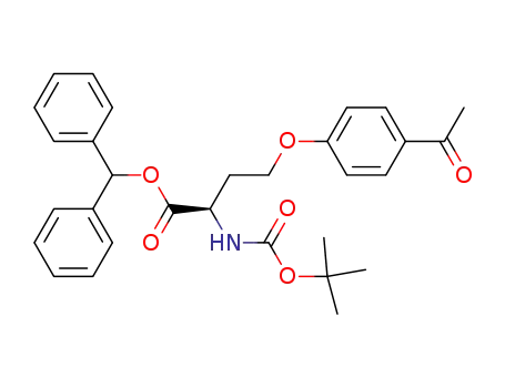 diphenylmethyl D-4-(p-acetylphenoxy)-2-(1-t-butoxyformamido)butyrate