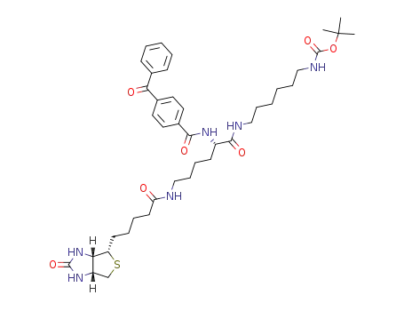 Molecular Structure of 165898-25-9 (1-(N-(N<sup>α</sup>-(4-benzoylbenzoyl)-L-biocytinoyl)amino)-6-(N'-boc-amino)hexane)