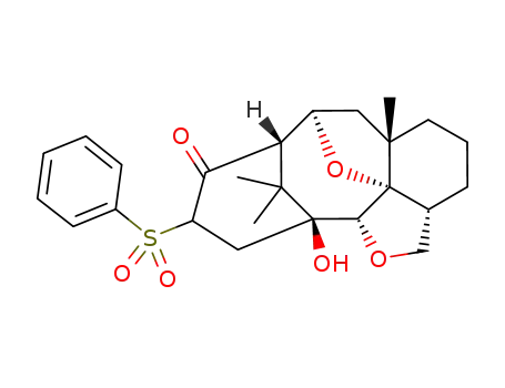 1β-hydroxy-2,4Hβ-13-phenylsulfonyl-11,12-dihydro-3α,10α-oxido-2α,20α-oxido-12-nortaxane-12-one