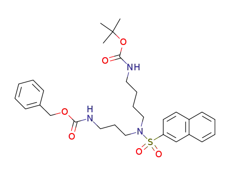 Molecular Structure of 461441-09-8 (N<sup>1</sup>-benzyloxycarbonyl-N<sup>3</sup>-tert-butyloxycarbonyl-N<sup>2</sup>-2-naphthalenesulfonyl-spermidine)