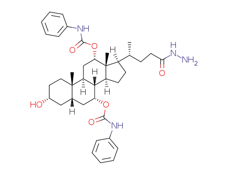 7,12-di-O-phenylaminocarbonyl-cholic acid hydrazide