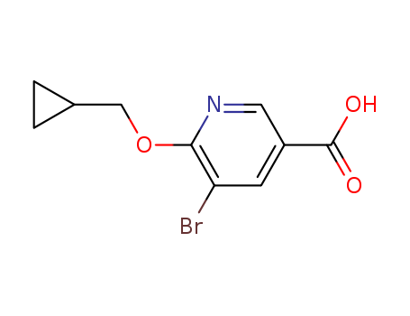 5-bromo-6-(cyclopropylmethoxy)nicotinic acid
