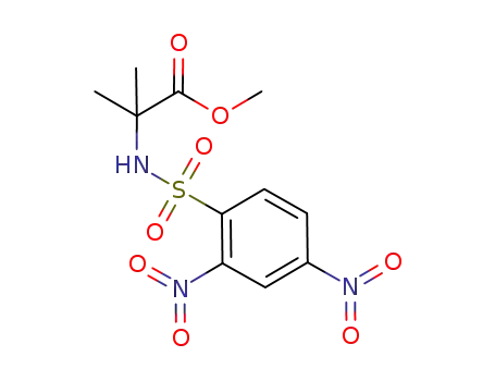 Molecular Structure of 957753-06-9 (2-[(2,4-dinitrophenyl)sulfonylamino]isobutyric acid methyl ester)