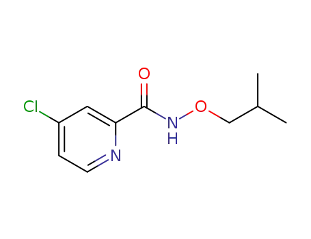 Molecular Structure of 953771-92-1 (4-chloro-N-isobutoxypicolinamide)