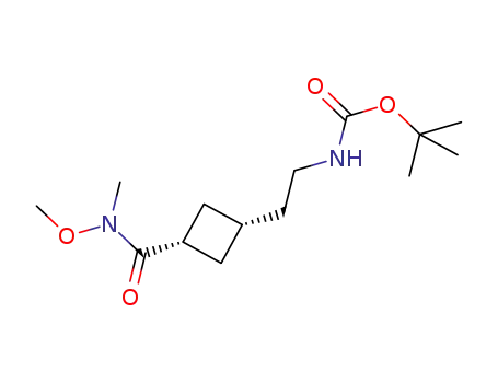 Molecular Structure of 847416-56-2 (Carbamic acid,
[2-[cis-3-[(methoxymethylamino)carbonyl]cyclobutyl]ethyl]-,
1,1-dimethylethyl ester)