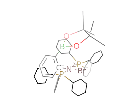 Molecular Structure of 447405-44-9 (trans-bromo[2-(4,4,5,5-tetramethyl-1,3,2-dioxaborolan-2-yl)phenyl][bis(tricyclohexylphosphine)]nickel(II))