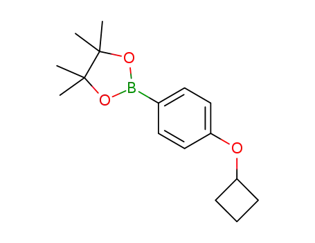 Molecular Structure of 1432572-02-5 (2-(4-Cyclobutoxy-phenyl)-4,4,5,5-tetraMethyl-[1,3,2]dioxaborolane)