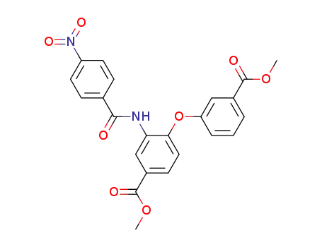 dimethyl 3-(4-nitrobenzoylamino)-3',4-oxydibenzoate